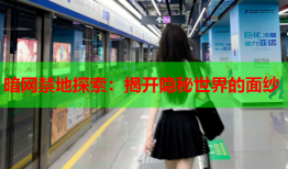 暗网禁地探索：揭开隐秘世界的面纱