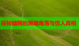 探秘暗网的黑暗角落与惊人真相