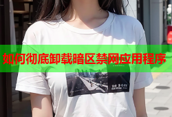 如何彻底卸载暗区禁网应用程序