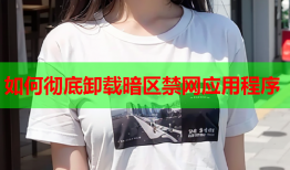 如何彻底卸载暗区禁网应用程序