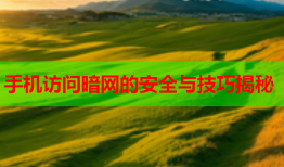 手机访问暗网的安全与技巧揭秘