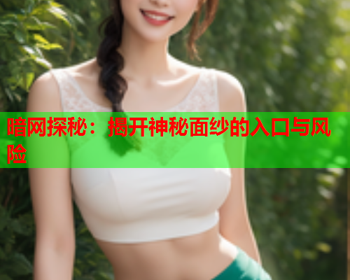 暗网探秘：揭开神秘面纱的入口与风险